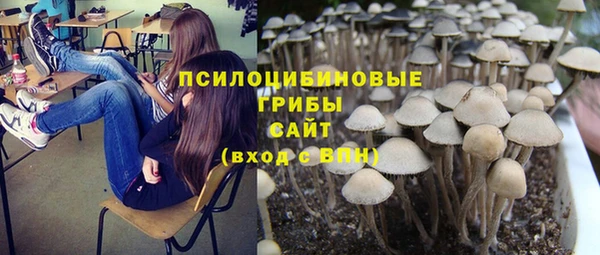 Альфа ПВП Арсеньев