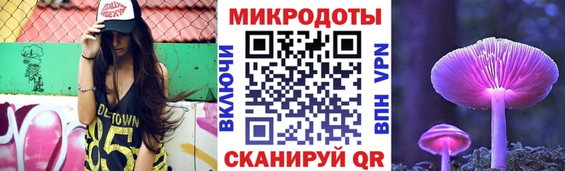 где найти наркотики  Хвалынск  Галлюциногенные грибы Psilocybe 